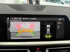 BMW 3 320Li M - фото 13