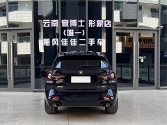 BMW X3 xDrive30i Version M - фото 8