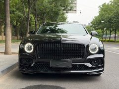 4.0T V8 S - фото 2
