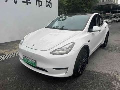 Tesla Model Y PerformancePerformance Edition - фото 1