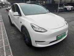 Tesla Model Y PerformancePerformance Edition - фото 3