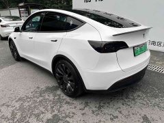 Tesla Model Y PerformancePerformance Edition - фото 4