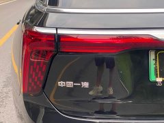 Hongqi E-HS9 460km flagship version six seats - фото 4