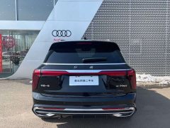 Hongqi E-HS9 690km flagship version six seats - фото 6