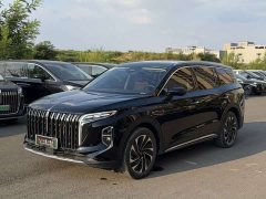 Hongqi HS7 PHEV 2024 2.0T PHEV four-wheel drive Qichang version 6 seats - фото 1
