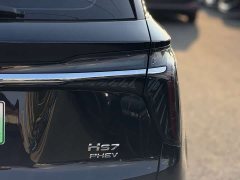 Hongqi HS7 PHEV 2024 2.0T PHEV four-wheel drive Qichang version 6 seats - фото 8
