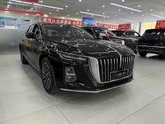 Hongqi H5 2025 2.0T automatic Qichang version - фото 3