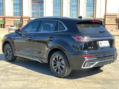 Hongqi HS5 2.0T Qixiang Pro Edition - фото 9
