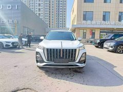 Hongqi HS5 2023 2.0T Qixiang Pro Edition - фото 10