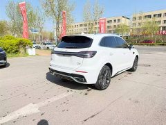 Hongqi HS5 2023 2.0T Qixiang Pro Edition - фото 11