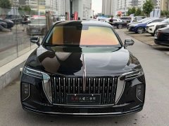 Hongqi H9 2024 2.0T Qixiang Luxury Business Edition - фото 10