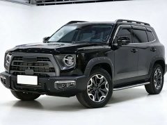 Havaldog 2.0T DCT four-wheel drive roaring dog hunting version - фото 1
