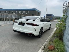 Trumpchi Shadow Leopard 2021 270T DCT J15 version - фото 15