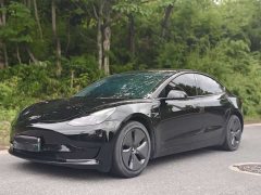 Tesla Model 3 Standard Range Rear Drive Upgraded Version - фото 1