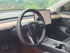 Tesla Model 3 Standard Range Rear Drive Upgraded Version - фото 4