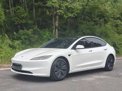Tesla Model 3 Edition - фото 1