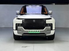Yangwang U8 Luxury Edition - фото 2