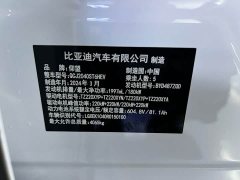 Yangwang U8 Luxury Edition - фото 9