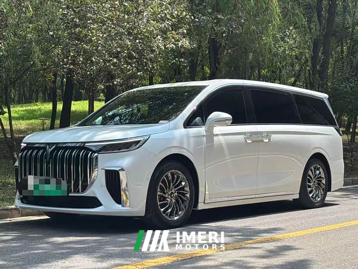Voyah Lantu Dreamer Low Carbon Version Dream Smart Package