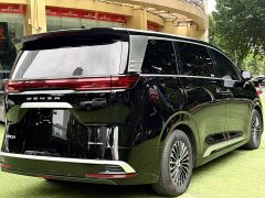Denza D9 2024 DM-i 980 four-wheel drive premium - фото 6