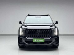 GAC Trumpchi GS8 2022 Pilot Series 2.0TGDI 2WD Luxury Smart Connectivity Edition (7-Seater) - фото 2