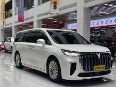 Voyah Lantu Dreamer PHEV Extra Long Range Premium Edition - фото 3