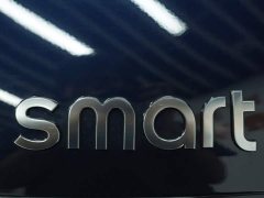 smart elf #1 2026 smart new luxury version - фото 10