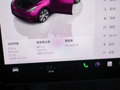 Tesla Model Y facelift rear-wheel drive version - фото 17