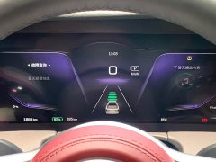 Hongqi E-HS9 2021 Qixian Edition 6-Seater - фото 8