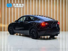 Tesla Model Y 2022 Refresh RWD - фото 4