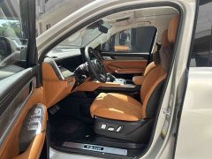 Tank 500 2022 3.0T Business Edition Landscape Type 5 Seats - фото 11
