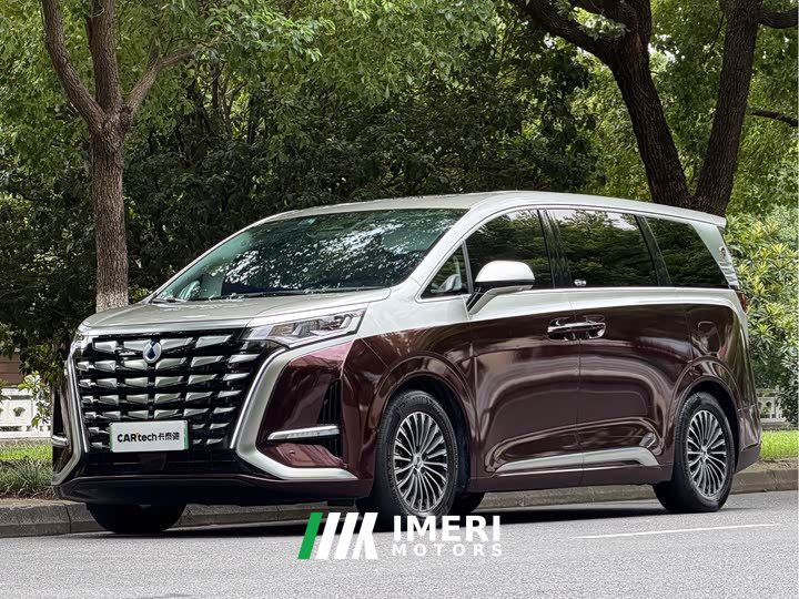 Denza D9 DM-i 970 four-wheel drive flagship