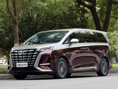 Denza D9 DM-i 970 four-wheel drive flagship - фото 1