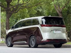 Denza D9 DM-i 970 four-wheel drive flagship - фото 17
