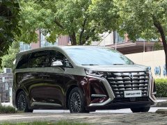 Denza D9 DM-i 970 four-wheel drive flagship - фото 2