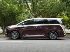 Denza D9 DM-i 970 four-wheel drive flagship - фото 4