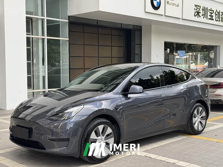 Tesla Model Y Rear-Wheel Drive - автомобиль из Китая