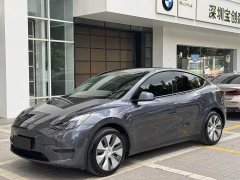 Tesla Model Y Rear-Wheel Drive - фото 1