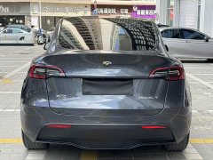 Tesla Model Y Rear-Wheel Drive - фото 6