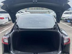 Tesla Model 3 2021 Standard Range Rear Drive Upgraded Version - фото 11