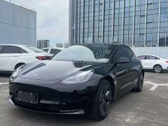 Tesla Model 3 2021 Standard Range Rear Drive Upgraded Version - фото 2
