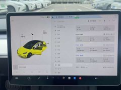 Tesla Model 3 2021 Standard Range Rear Drive Upgraded Version - фото 9