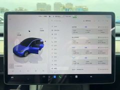 Tesla Model Y Rear-Wheel Drive - фото 6