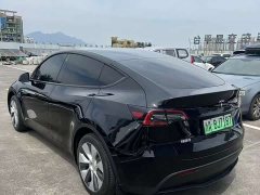 Tesla Model Y Rear-Wheel Drive - фото 7
