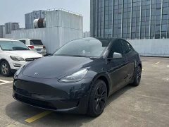 Tesla Model Y 2024 rear-wheel drive version - фото 2