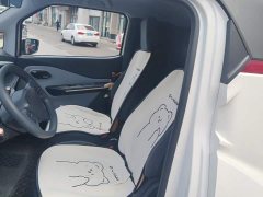 Baojun E200 2020 305KM Smart Travel Edition - фото 11