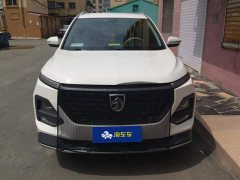 Baojun 530 Global Car Anniversary Edition 1.5T CVT Luxury 5-seater - фото 2
