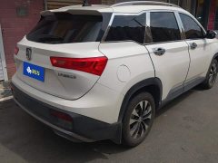 Baojun 530 Global Car Anniversary Edition 1.5T CVT Luxury 5-seater - фото 3