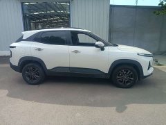 Baojun RS-3 2020 1.5L CVT intelligent luxury - фото 5