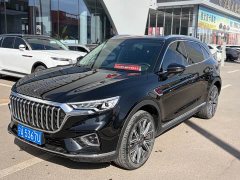 Hongqi HS5 2.0T Zhilian Qiling four-wheel drive version - фото 1